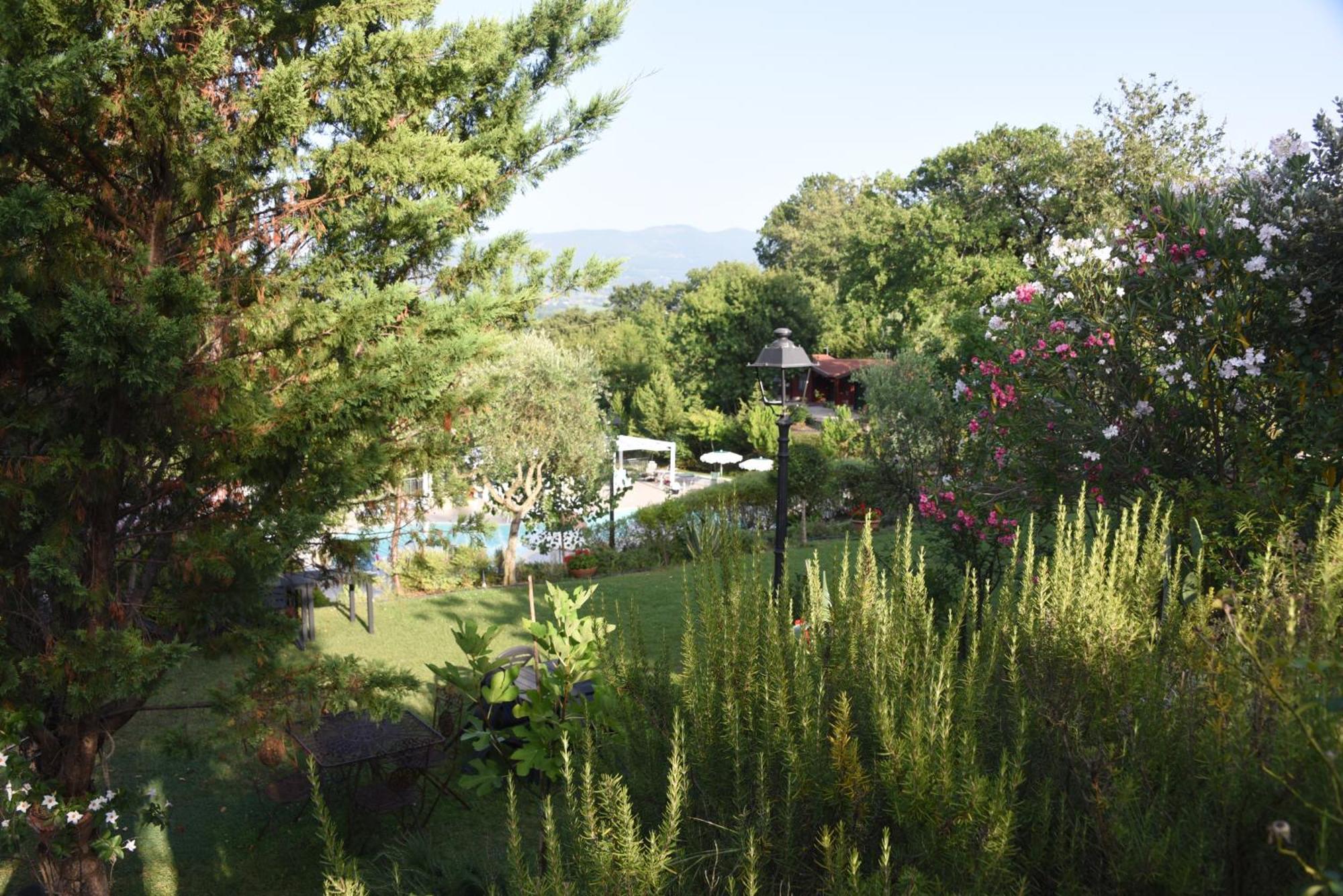 Bosco D'Olmi Country House Sant'Andrea del Garigliano Exterior foto
