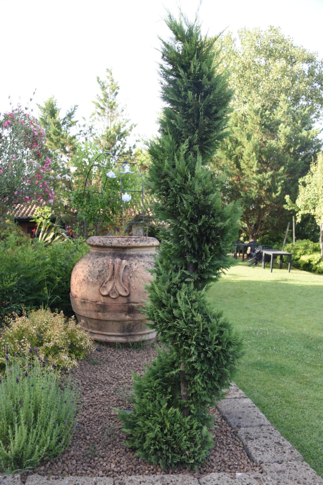 Bosco D'Olmi Country House Sant'Andrea del Garigliano Exterior foto